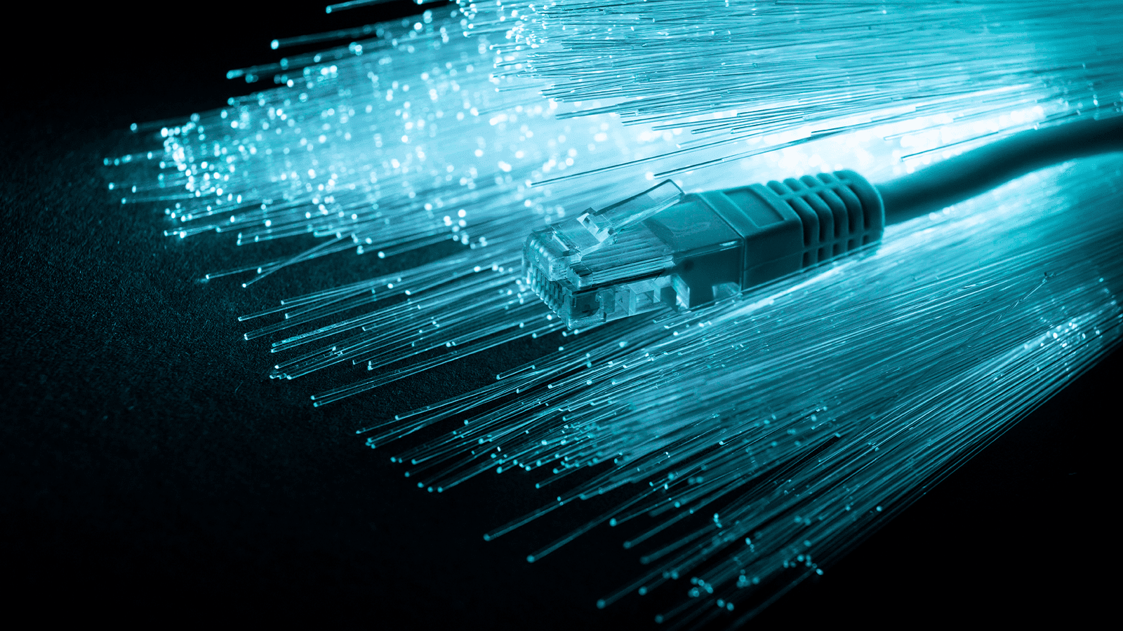 High Speed Internet
